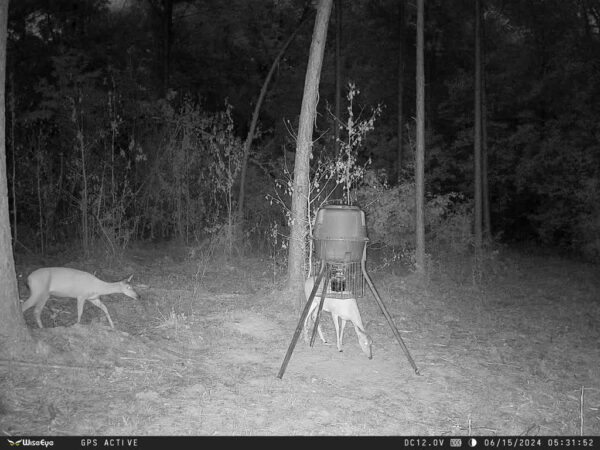 ye DC-2 Trail Camera