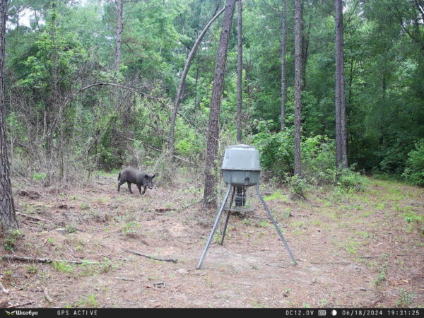 ye DC-2 Trail Camera
