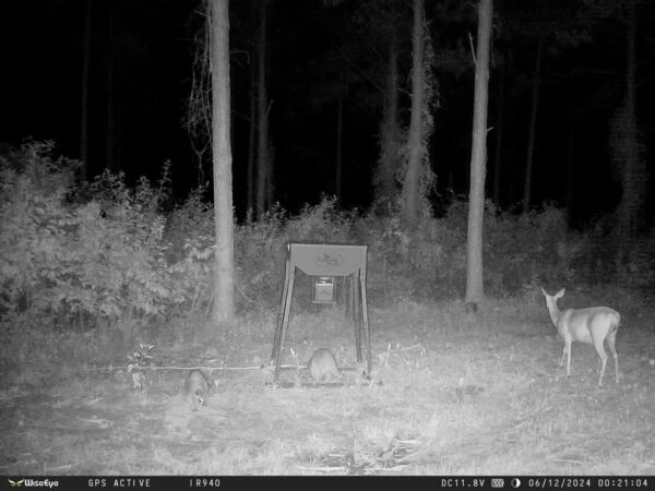 Data Cam 2 NO GLOW images