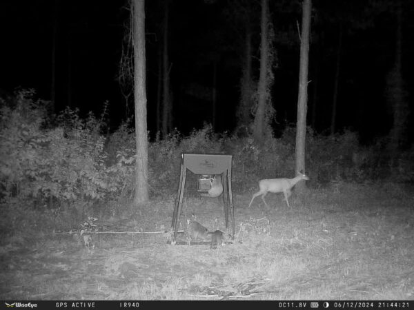 Data Cam 2  DC-2 NO GLOW - Image 3