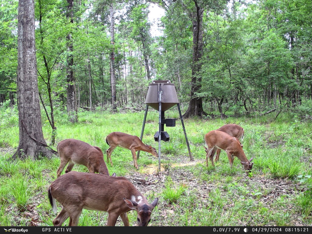 Picture from DC-2 Camera