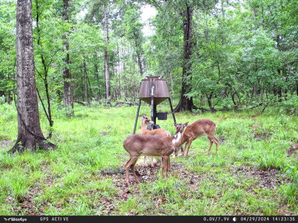 ye DC-2 Trail Camera