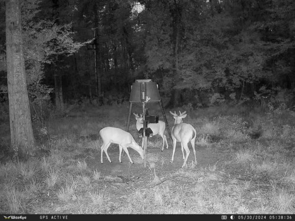 ye DC-2 Trail Camera