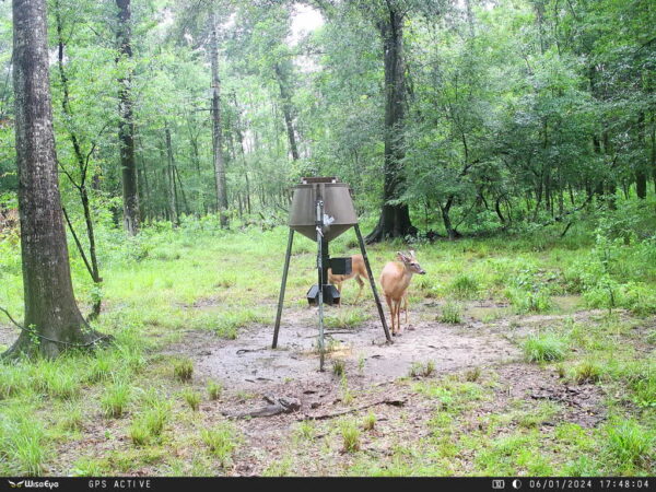 ye DC-2 Trail Camera